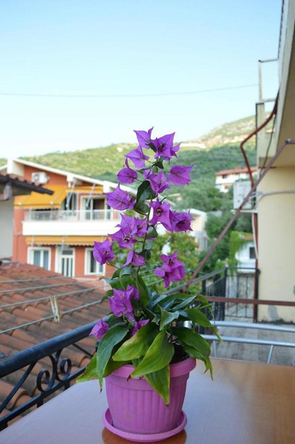 Hotel Ridal Vlorë エクステリア 写真